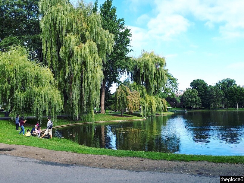 Boston to do list 5 luoghi da visitare Boston Public Garden